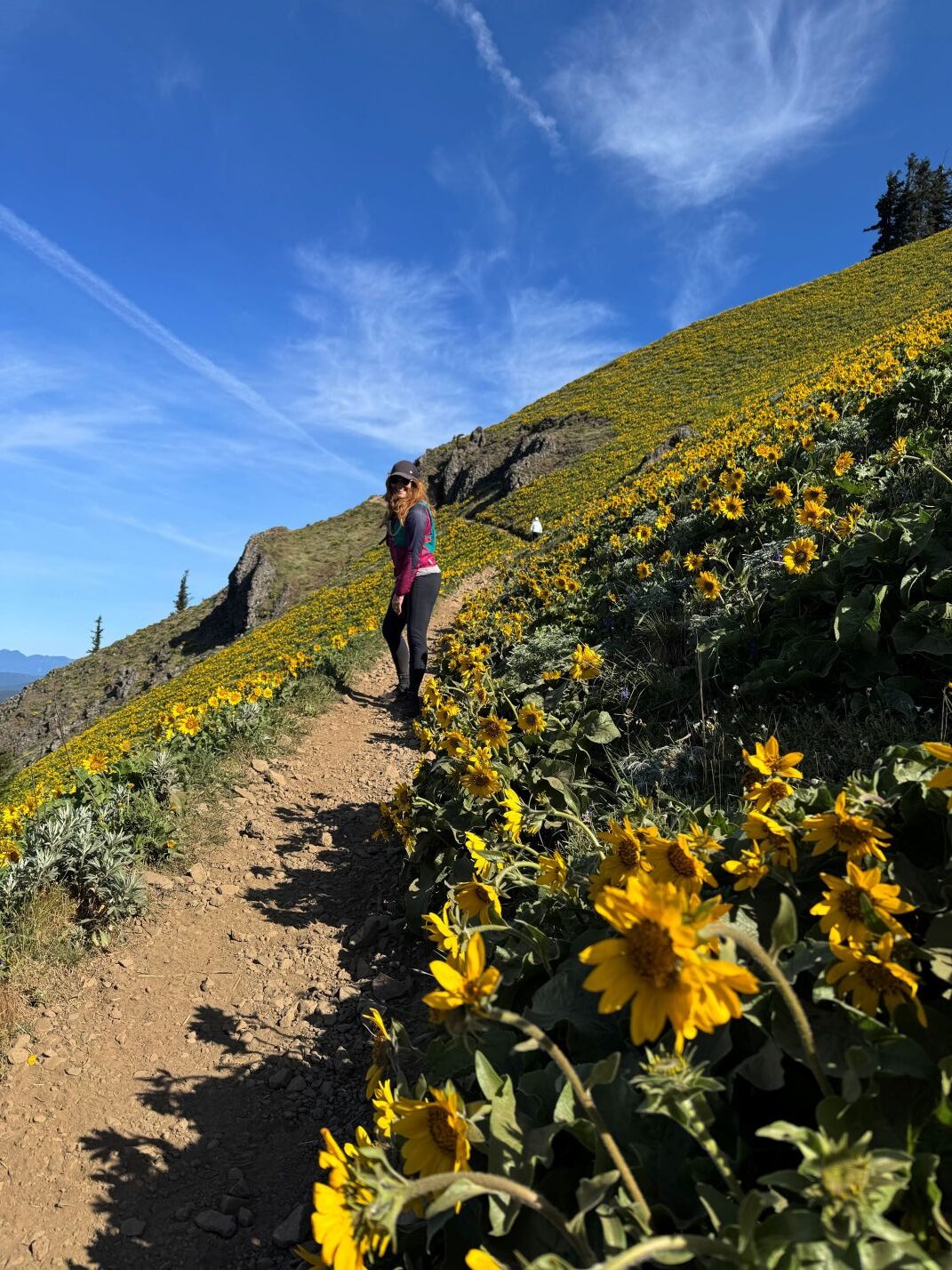 Julie Burgmeier julie burgmeier owner pacific northwest marketing