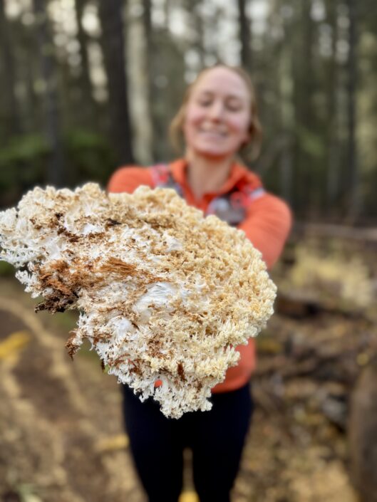 Foraging Mushrooms Oregon Photo Credit MagicPNW