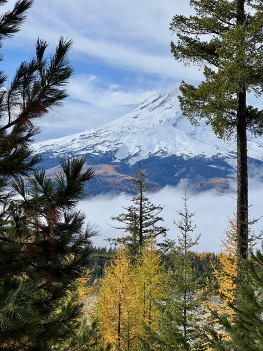 Mt Hood Fall – Photo Credit Julie Burgmeier